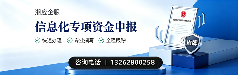 兰州信息化专项资金申报服务