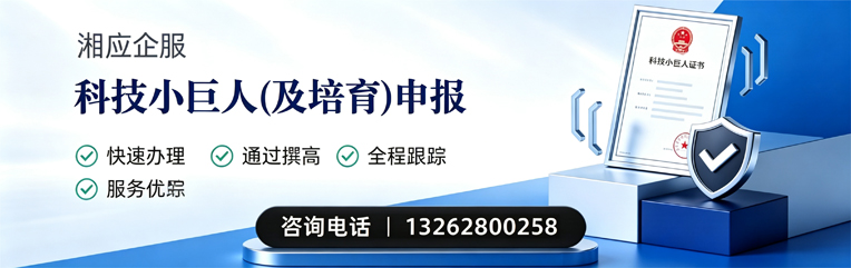 兰州科技小巨人及培育企业申报服务