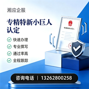 兰州专精特新小巨人申报服务