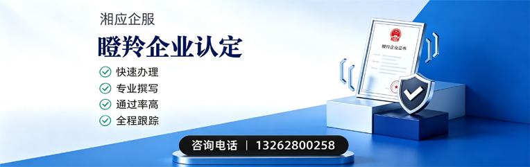 兰州瞪羚企业认定申报服务