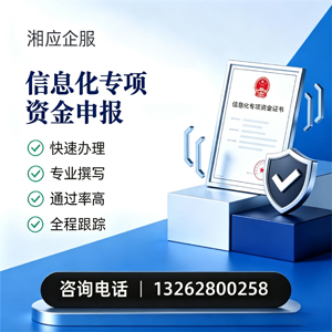 兰州信息化专项资金申报服务