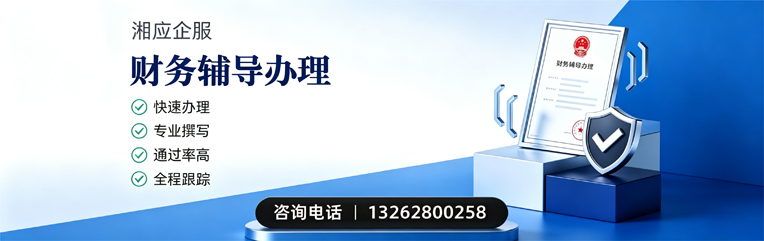 兰州财务辅导申请服务