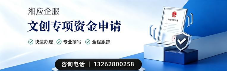 兰州文创专项资金申报服务