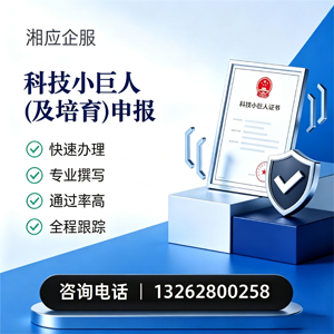 兰州科技小巨人及培育企业申报服务