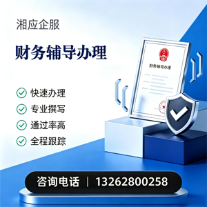 兰州财务辅导申请服务
