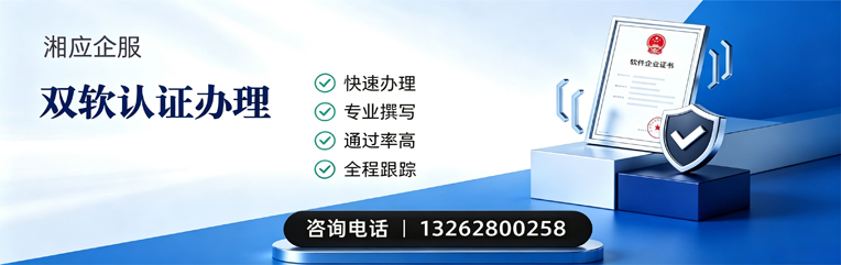 兰州双软认证申报服务