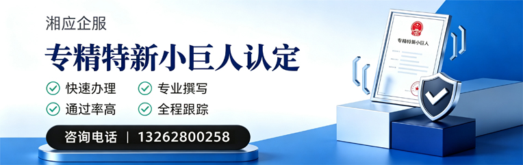 兰州专精特新小巨人申报服务